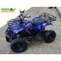 Квадроцикл GreenCamel Gobi K31 (36V 800W R6 Цепной привод)